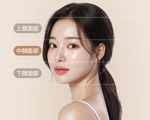 중안면부