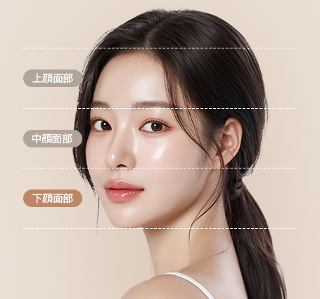 하안면부